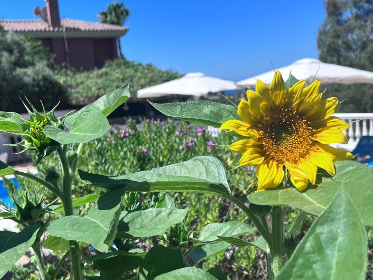 B&B Villa Michieli 마르베야 외부 사진